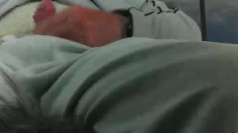 leckfreund53 online show from October 2025 07:38:02 AM