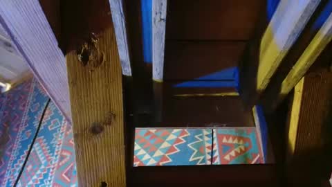 Dliciousman online show from December 2024 08:55:02 PM