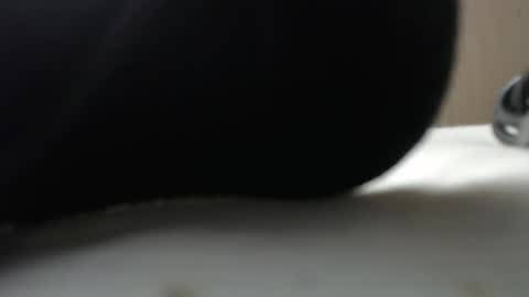 legstrong online show from February 2025 11:12:02 AM