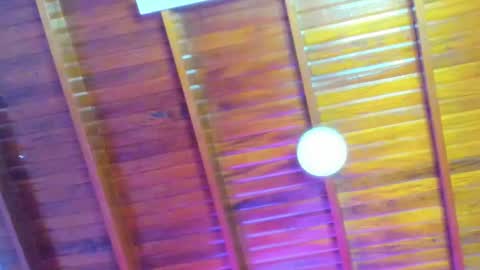LevySteven online show from December 2024 08:33:02 AM