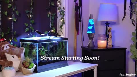 Snapshot of lex_taylor chatting on January 2025 03:19:01 AM Lex online show from January 2025 03:19:01 AM