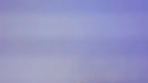 Lyela online show from October 2025 11:51:02 AM