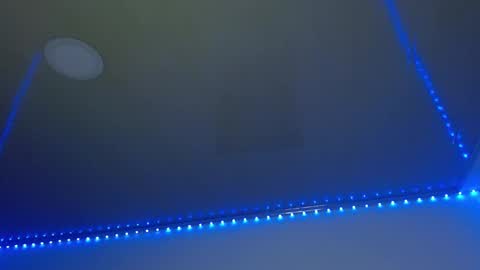 Lisaa online show from February 2025 06:24:01 AM