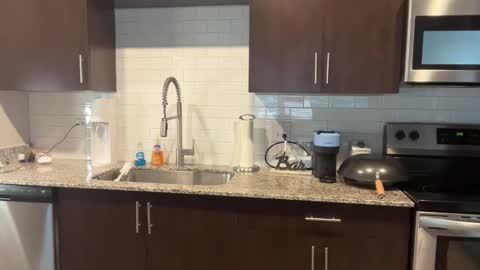 Snapshot of lila_davidson chatting on February 2025 06:46:01 PM lila_davidson online show from February 2025 06:46:01 PM