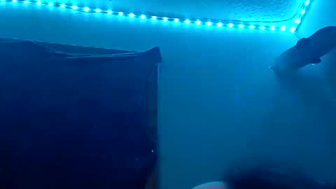 lildman420 online show from November 2025 08:48:02 AM