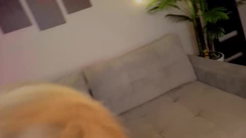 lililok101 online show from October 2025 02:04:01 AM