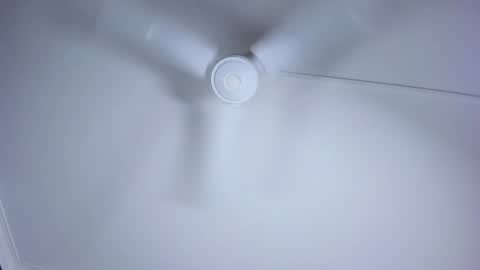 Lili  Marcus online show from December 2024 01:58:02 AM