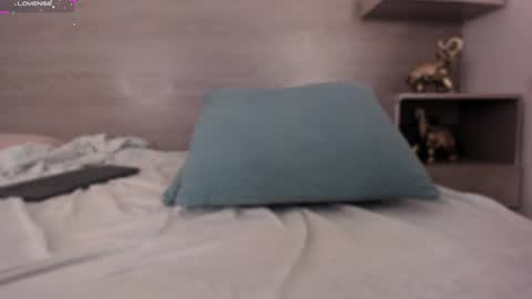 Snapshot of lilith_sage_ chatting on January 2025 02:46:02 PM lilith_sage_ online show from January 2025 02:46:02 PM