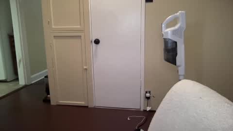 lilly_adams88 online show from February 2025 04:31:01 AM