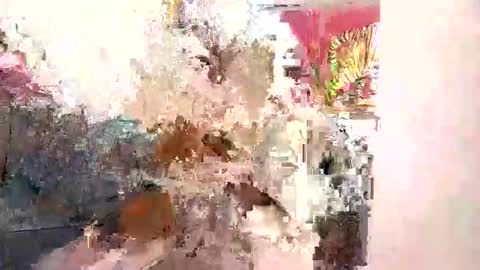 lilsexyx online show from November 2025 04:34:02 AM