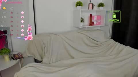 Tiffany online show from October 2025 02:56:01 AM