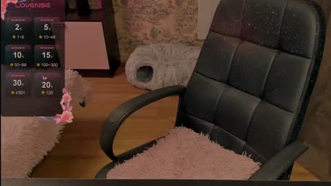 Snapshot of little__boss chatting on January 2025 03:25:01 PM little__boss online show from January 2025 03:25:01 PM
