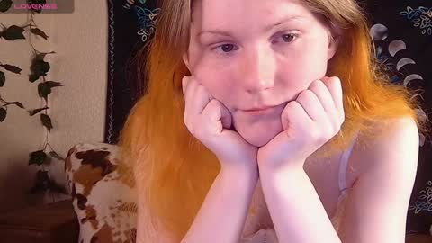 Sofia online show from December 2024 09:08:02 PM