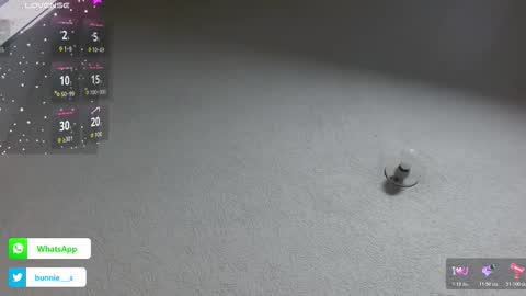 your little bunny  online show from November 2025 10:27:01 AM