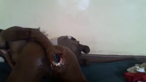 Snapshot of littlesandie chatting on March 2025 12:04:02 PM littlesandie online show from March 2025 12:04:02 PM