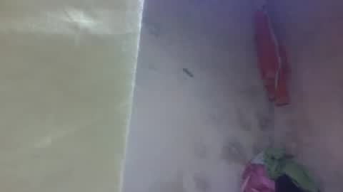 Snapshot of littleyanah chatting on September 2025 11:21:01 AM yanah online show from September 2025 11:21:01 AM