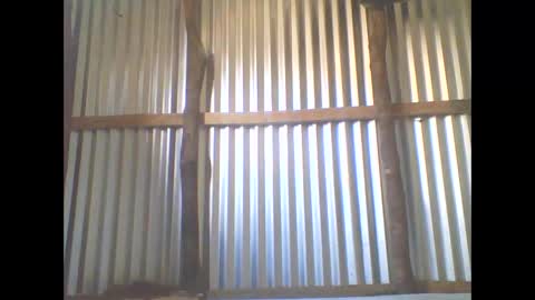 Snapshot of littleyanah chatting on November 2025 05:40:01 AM yanah online show from November 2025 05:40:01 AM