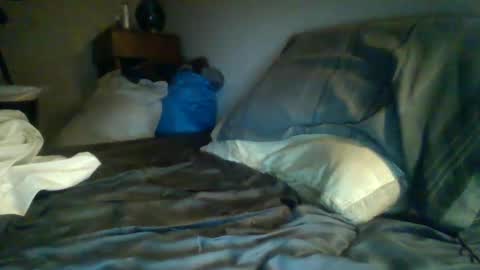 livecock89 online show from February 2025 09:41:01 AM