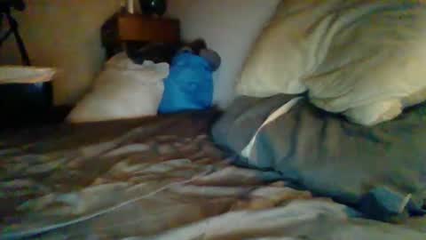 livecock89 online show from February 2025 12:38:02 PM
