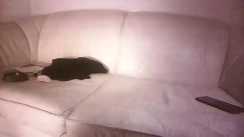 lms_celebi online show from September 2025 04:25:02 AM