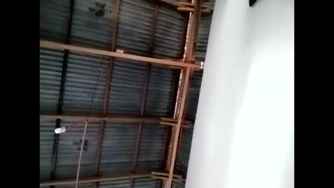 tey online show from November 2025 11:25:02 PM