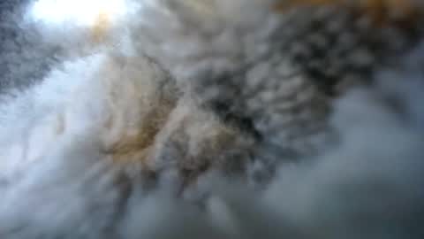 Snapshot of lolly_96 chatting on November 2025 11:26:02 PM lolly_96 online show from November 2025 11:26:02 PM