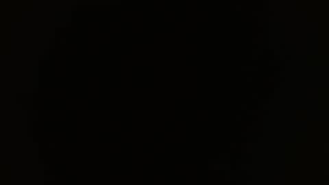 longhair online show from March 2025 11:21:01 AM