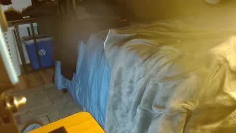 lookwhaticand0 online show from December 2024 04:57:01 PM