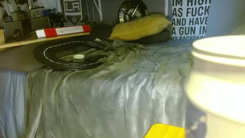lookwhaticand0 online show from February 2025 06:49:02 PM