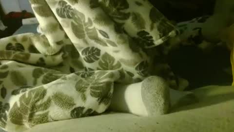 lookwhaticand0 online show from March 2025 01:36:01 PM