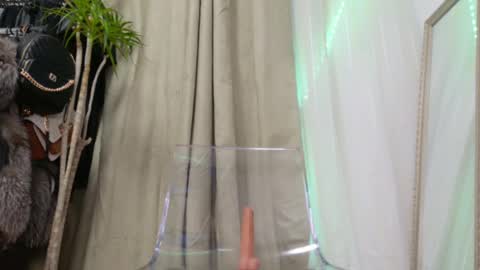 Snapshot of lorennameliyy chatting on February 2025 11:04:01 PM Amelia online show from February 2025 11:04:01 PM