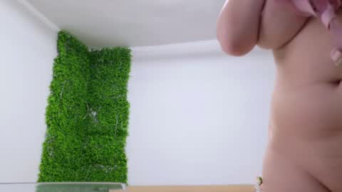 Snapshot of lorennameliyy chatting on February 2025 07:58:02 PM Amelia online show from February 2025 07:58:02 PM