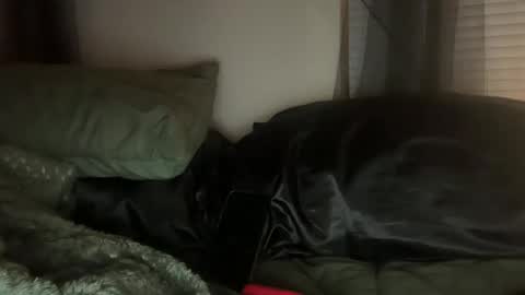 Lottiepoppie online show from January 2025 11:03:02 AM