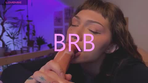 Elsa online show from November 2025 06:35:02 AM