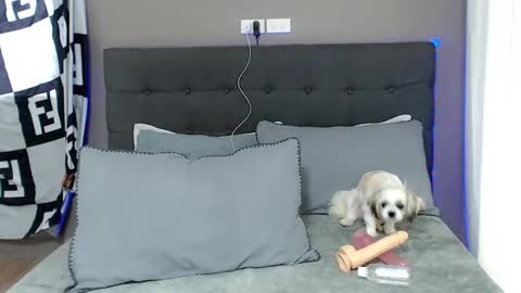 Jastine online show from December 2024 01:58:01 AM