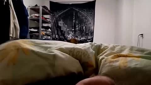 Lovetlick online show from December 2024 05:28:02 AM