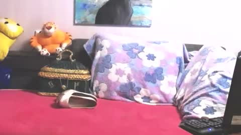 Snapshot of loveykiss77 chatting on October 2025 10:33:02 PM Anna online show from October 2025 10:33:02 PM