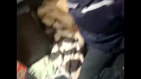 Snapshot of lshot_d chatting on November 2025 08:00:01 PM Lshot D online show from November 2025 08:00:01 PM