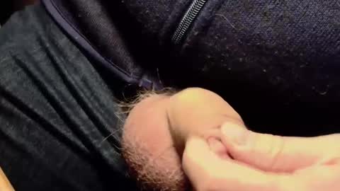 Snapshot of lt645 chatting on December 2024 08:11:01 AM Lt645 online show from December 2024 08:11:01 AM