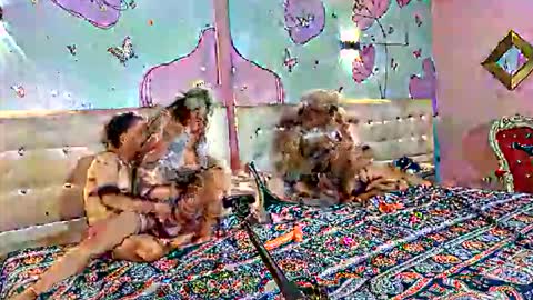 Snapshot of lu_pink chatting on October 2025 02:37:01 PM lu_pink online show from October 2025 02:37:01 PM