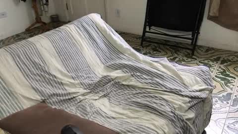 Snapshot of lucifer_curious chatting on November 2025 04:18:01 PM lucifer_curious online show from November 2025 04:18:01 PM