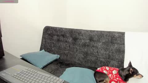 Snapshot of lucii_30 chatting on December 2025 07:11:02 PM luci online show from December 2025 07:11:02 PM