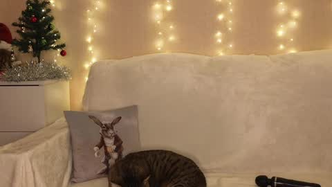 Katerina  online show from December 2024 06:52:01 PM