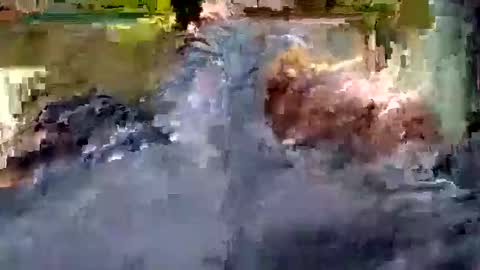 Andrew online show from October 2025 10:59:01 AM