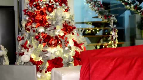 Lukhas f4f online show from December 2024 01:18:01 AM