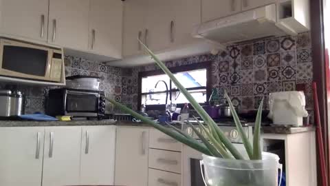 Snapshot of luksmen1 chatting on February 2025 04:05:01 PM lucifer online show from February 2025 04:05:01 PM