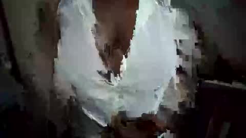 Snapshot of lustinshadows chatting on October 2025 12:22:02 AM Nessy online show from October 2025 12:22:02 AM