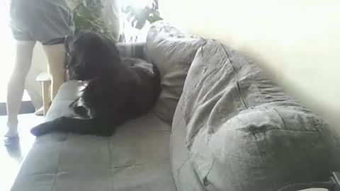 Snapshot of luzardol chatting on March 2025 02:56:02 PM luzardol online show from March 2025 02:56:02 PM