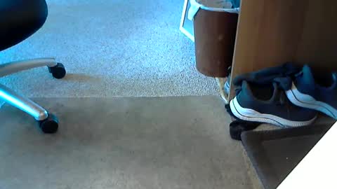 Snapshot of lynne_cd_nj chatting on October 2025 08:26:01 PM lynne_cd_nj online show from October 2025 08:26:01 PM