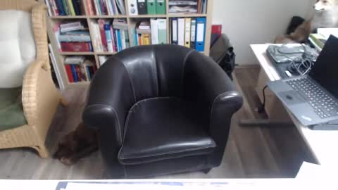 Snapshot of maddmax8 chatting on December 2024 01:28:01 PM Mad4You online show from December 2024 01:28:01 PM